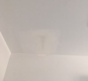 Meet your Posher, Zack